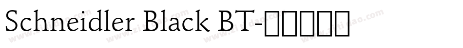 Schneidler Black BT字体转换